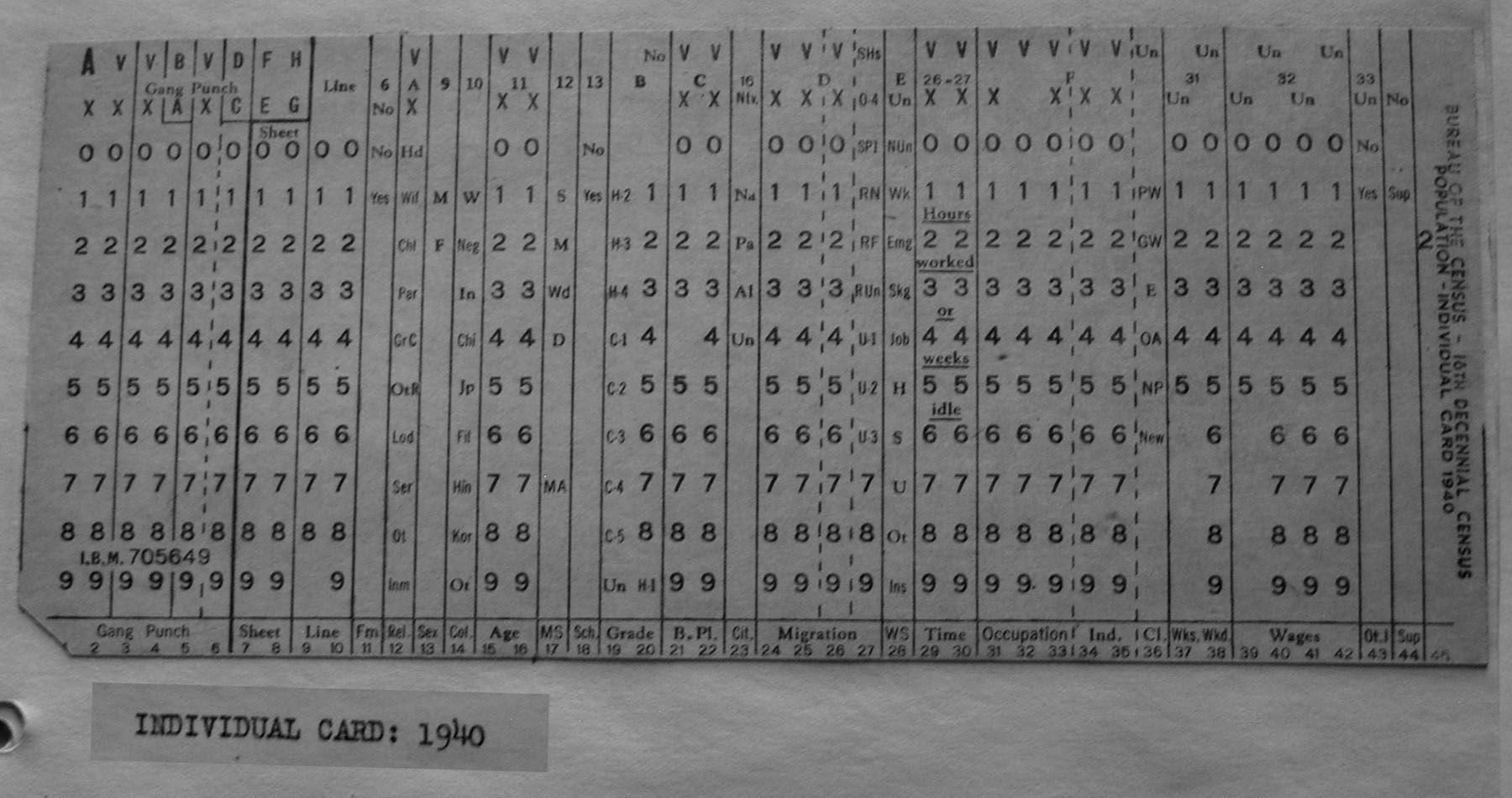 punch card for each individual in 1940 census