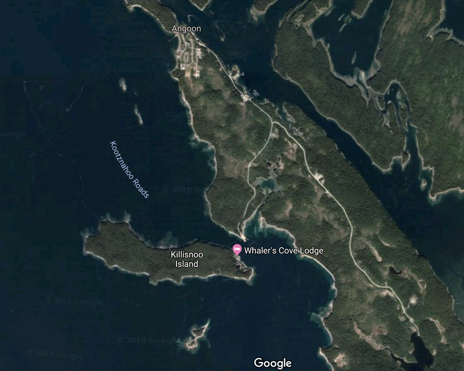 Google map of Angoon and Killisnoo Island, showing the settlements at night surrounded by woods and water