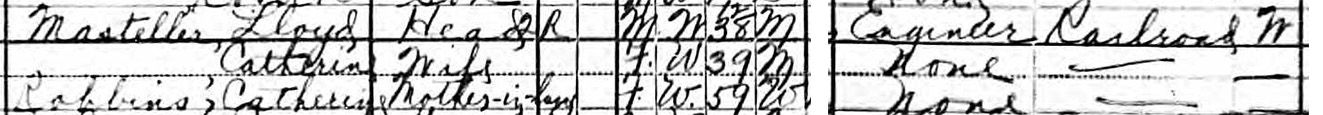 snippet of the census record for the Masteller household